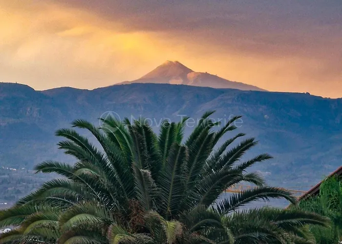 Pearl Of Amarilla Golf - Luxury 3 Bedroom With Heated Pool & Ocean View *